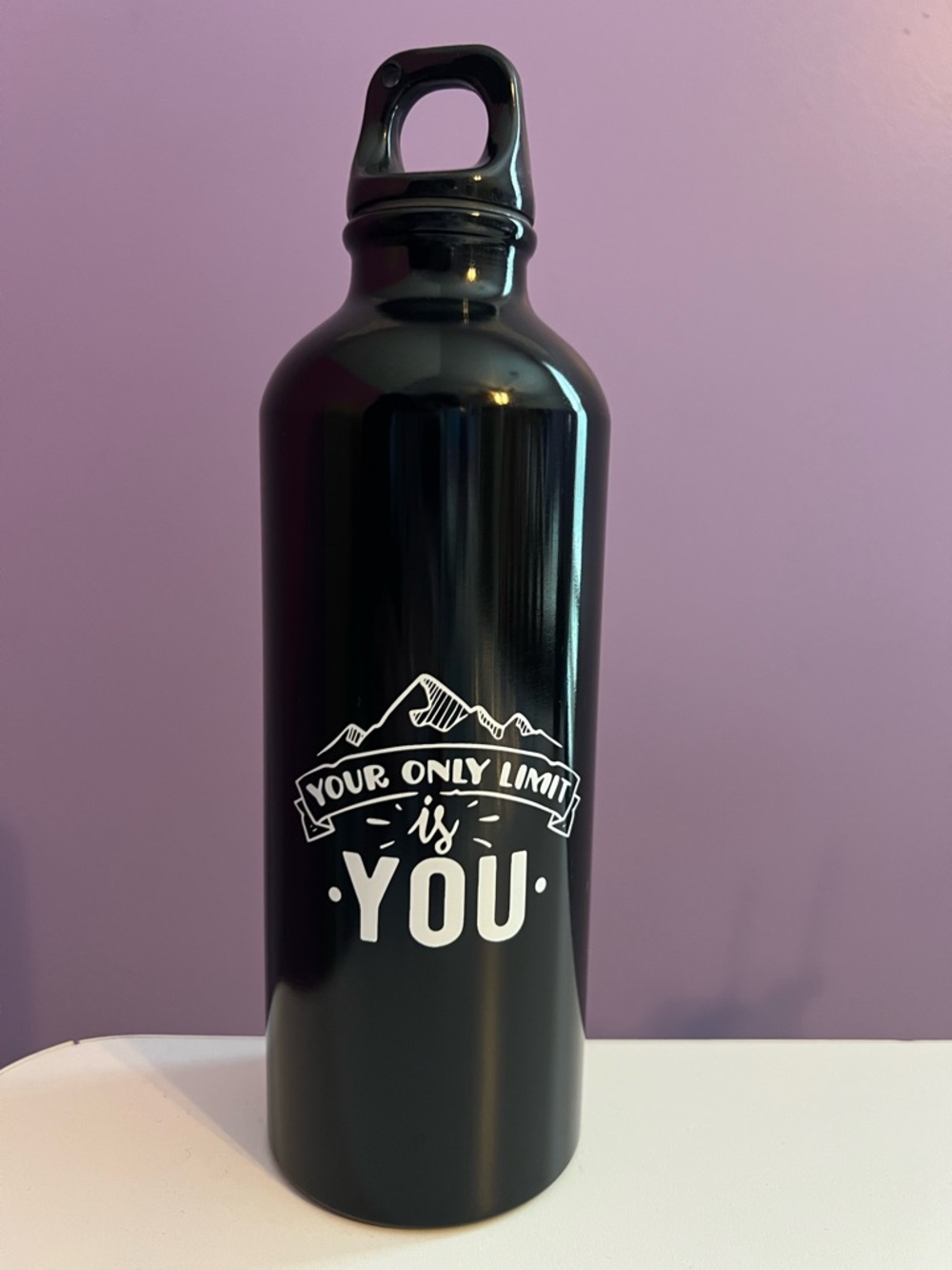 NEW Stainless Steel Water Bottle